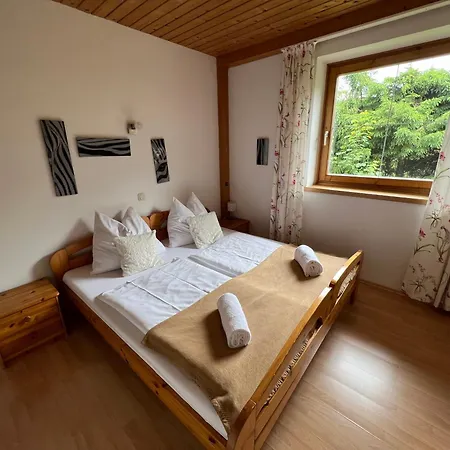 Daire Haus Imbachhorn Summer Card Included