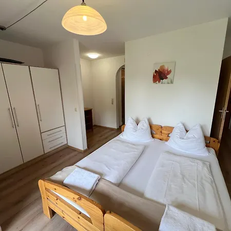 Haus Imbachhorn Summer Card Included Daire