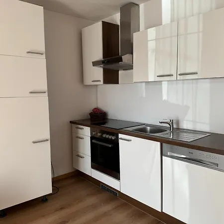 Appartement Haus Imbachhorn Summer Card Included Zell am See