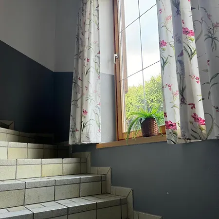 Haus Imbachhorn Summer Card Included Апартаменти Целль-ам-Зеє