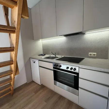 Haus Imbachhorn Summer Card Included Daire Zell am See