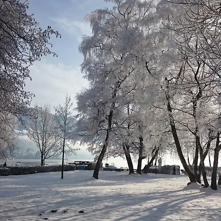 Haus Imbachhorn Summer Card Included Daire *