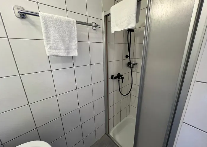 Haus Imbachhorn Summer Card Included Appartement Zell am See