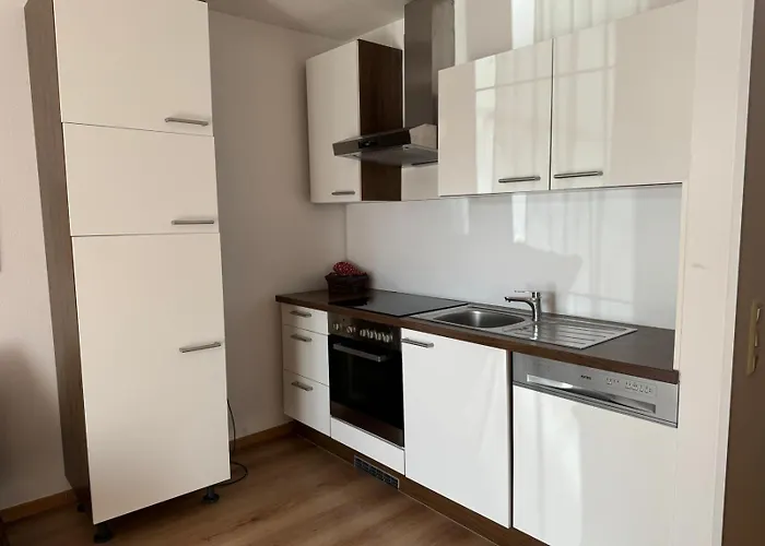 Apartment Haus Imbachhorn Summer Card Included Zell am See