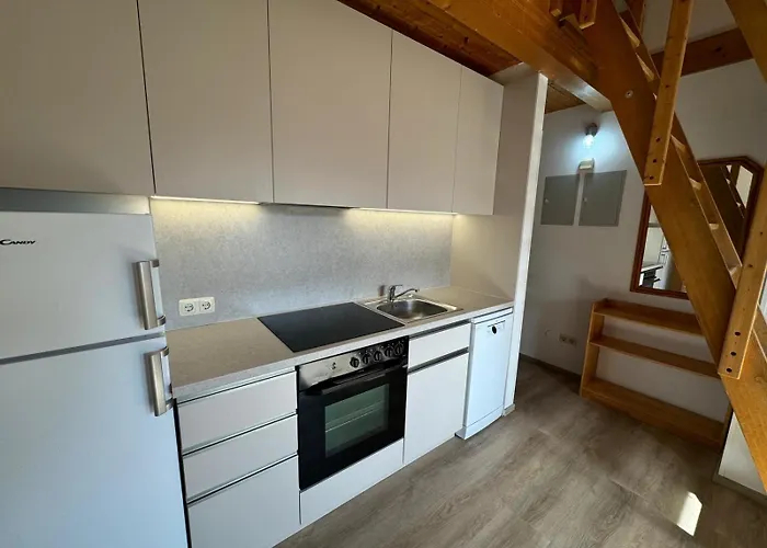 Appartement Haus Imbachhorn Summer Card Included Zell am See