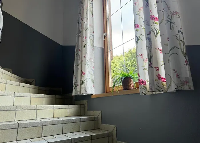 Haus Imbachhorn Summer Card Included Appartement Zell am See