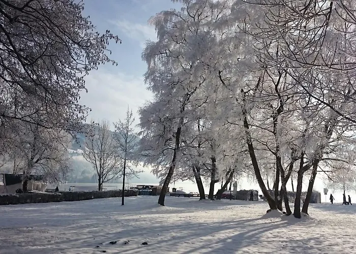 Haus Imbachhorn Summer Card Included 아파트 *