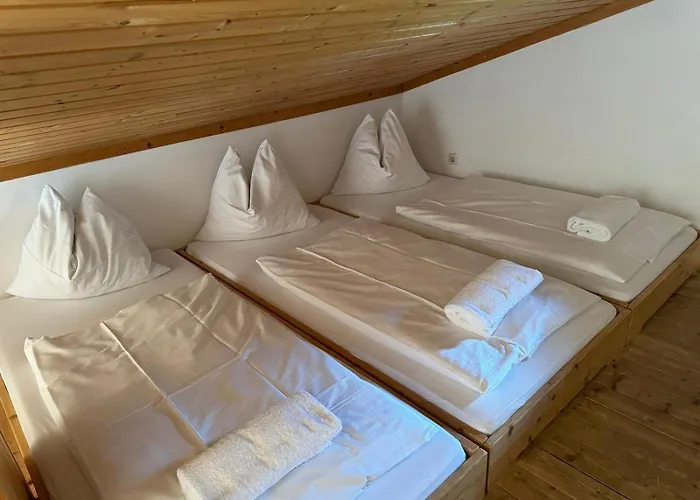 Haus Imbachhorn Summer Card Included アパート